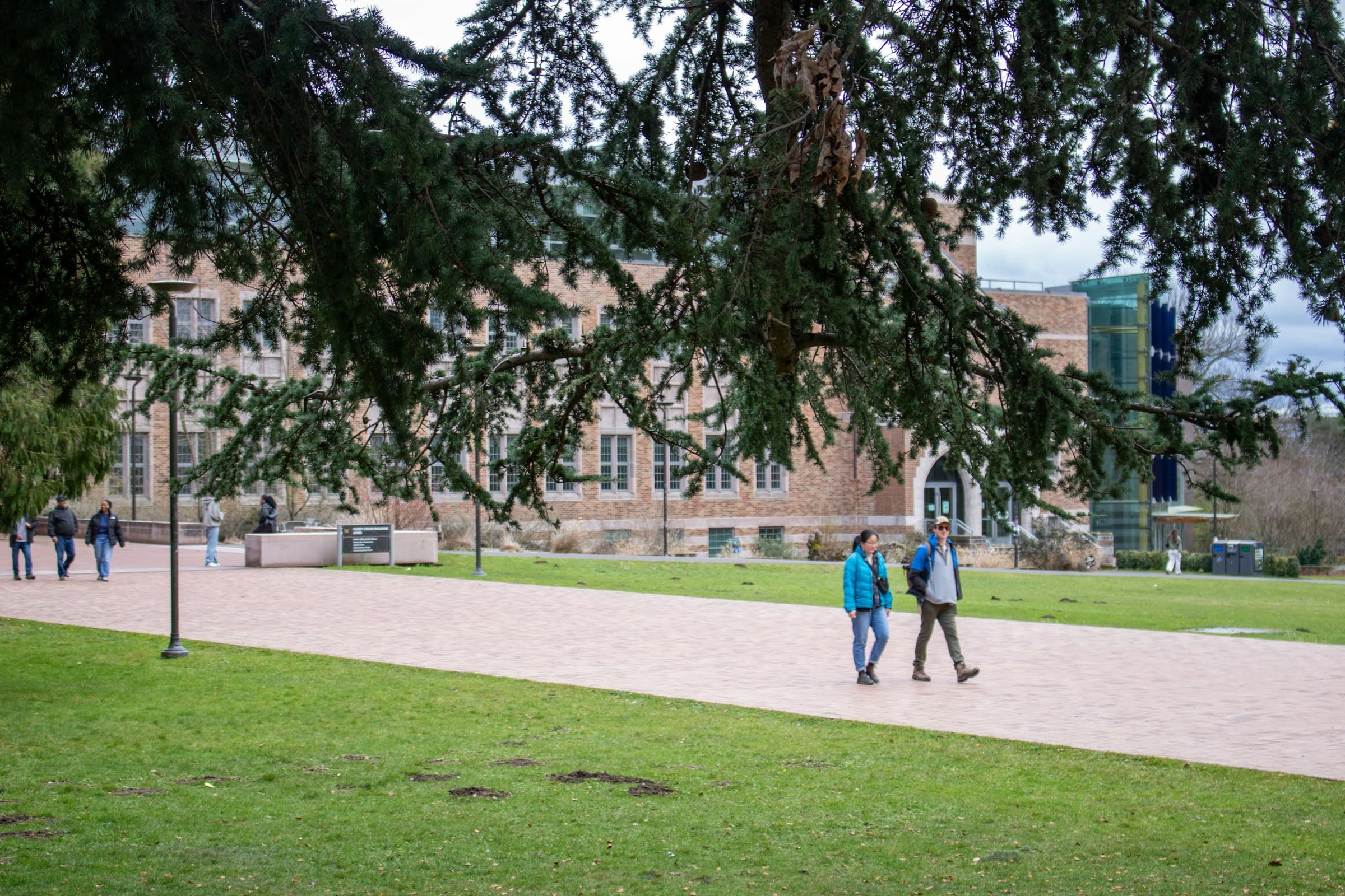 Students walking confidently across a college campus